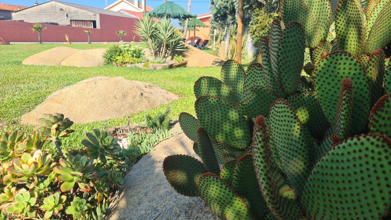 Villa Hollidays Dreams Póvoa de Varzim Exterior foto