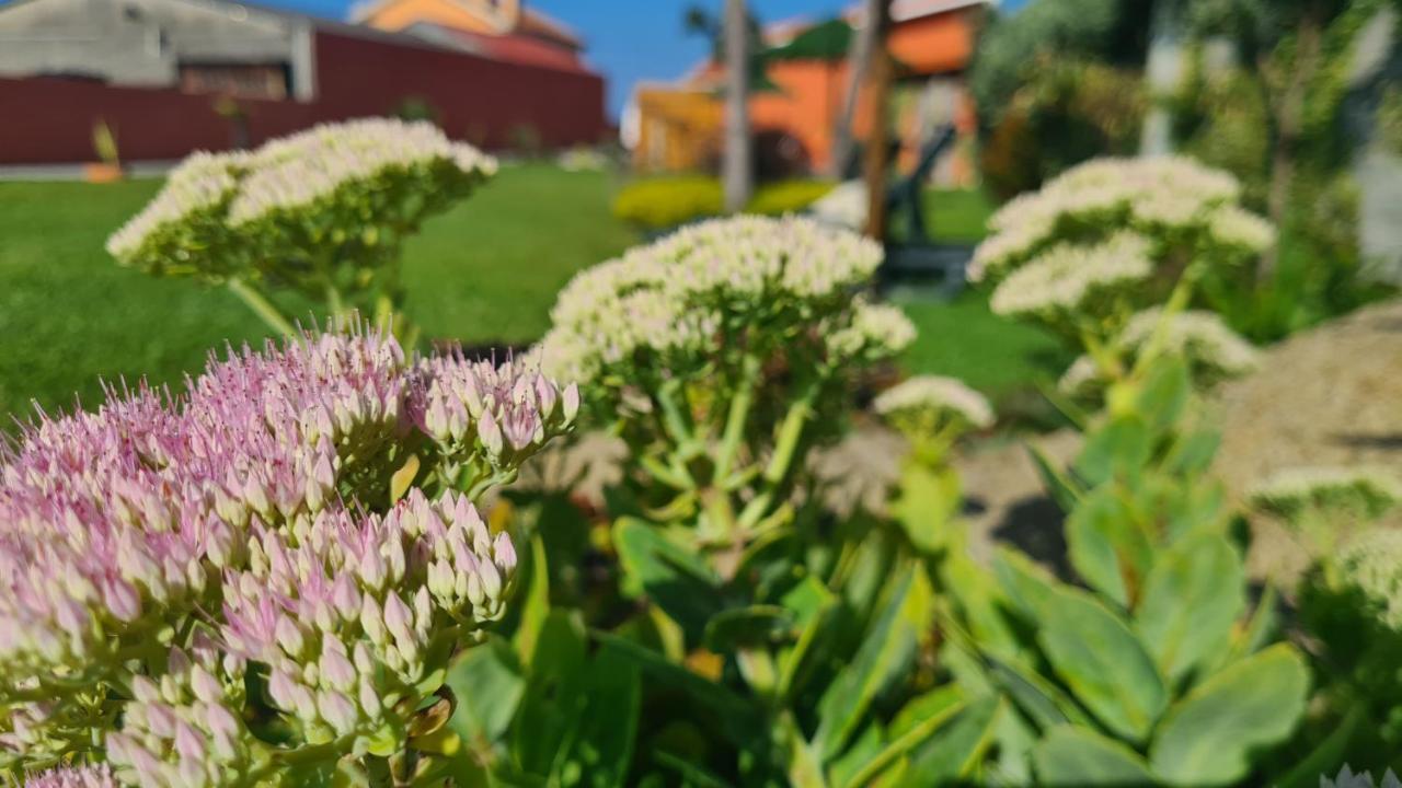 Villa Hollidays Dreams Póvoa de Varzim Exterior foto